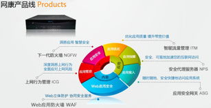 智慧網(wǎng)絡(luò) 立體安全 2013網(wǎng)康科技全國(guó)巡展掀起行業(yè)熱潮